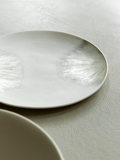 Silver Frost Plate