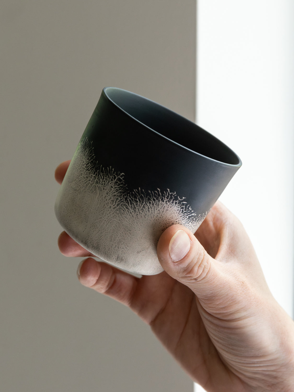 Shinkan Cup