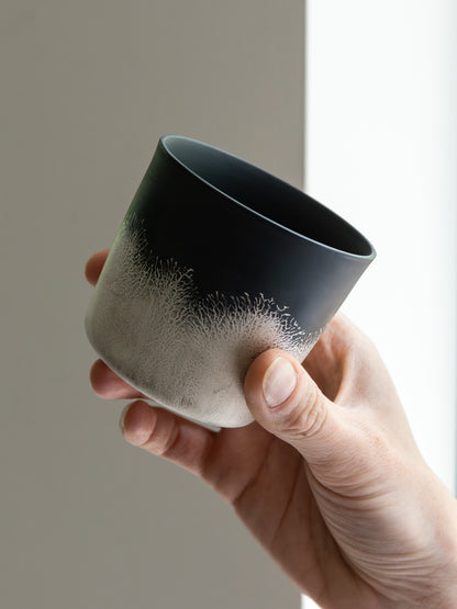 Shinkan Cup