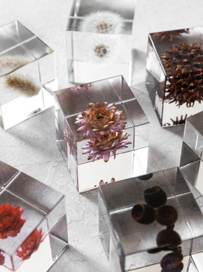 Sola Cube - Globe Amaranth